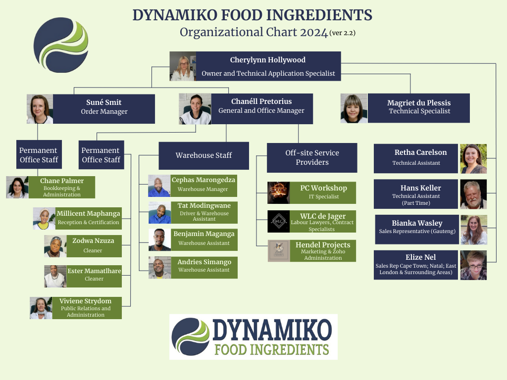 DYNAMIKO TEAM